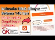 Indosaku Apakah Ada DC Lapangan ? Pengalaman Galbay dan Risiko