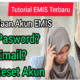 Lupa Password dan Email Akun EMIS? Cara Reset Password dan Ganti Email