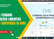 Cara Cek Linieritas Mata Pelajaran Guru Sertifikasi Madrasah di Emis