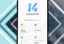 Cara Mengatasi Format File Tidak Didukung di WA pada HP Vivo