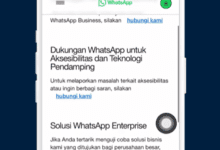 6 Penyebab Format File Tidak Didukung Saat Upload Video di WA Vivo