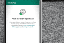 3 Cara Mengatasi WA Kena Spam Paling Simple