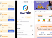 Apakah Aplikasi GAYNIX Investasi Terbukti Membayar? Cek Fakta