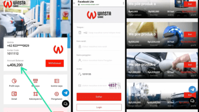 Penarikan Saldo di Winsta Share com Belum Cair, Apakah sudah SCAM?