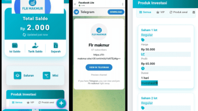 Jangan Investasi Di Aplikasi FLR Makmur, Skema Ponzy Rawan SCAM