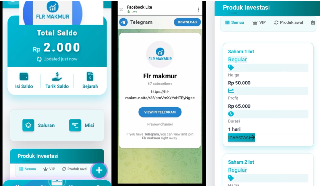 Jangan Investasi Di Aplikasi FLR Makmur, Skema Ponzy Rawan SCAM