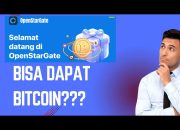 Open Stargate Aplikasi Viral, Tapi Apa Benar Bisa Menghasilkan Uang?