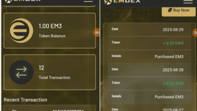 6 Cara Mendapatkan Uang Dari EMDEX Apk Investasi Crypto