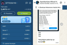 Jangan Investasi di Aplikasi OpenStarGate, Sebentar Lagi Akan SCAM Penipuan!