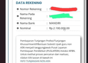 Cek Segera Bantuan Insentif Guru Non ASN di Info GTK Tahun 2025 Ini Nominalnya!