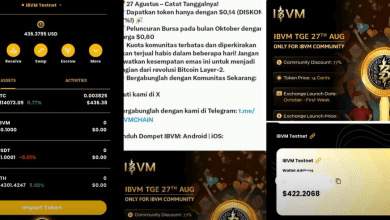 Apakah Aplikasi IBVM WALLET Aman Untuk Investasi? Cek Fakta Sebenarnya