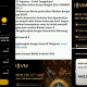 Apakah Aplikasi IBVM WALLET Aman Untuk Investasi? Cek Fakta Sebenarnya