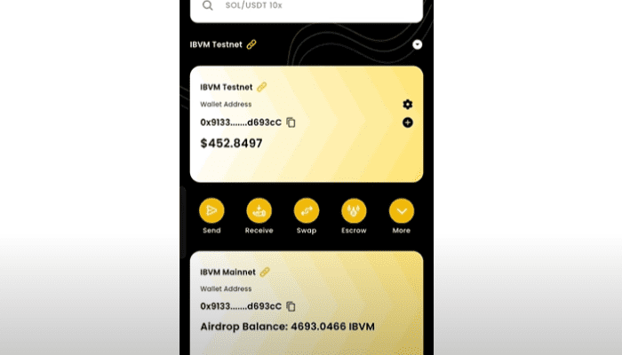 Cara Bridge IBVM Wallet Terbaru untuk Pemula Paling Gampang!