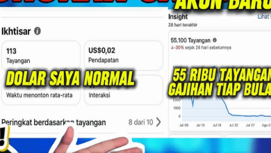 Kenapa Pendapatan Dolar di Reels Facebook Pro Tidak Nempel? Ini Solusinya!