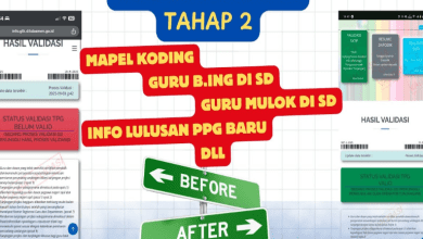 Bocoran Validasi InfoGTK Tahap 2, Ada 6 Kategori Yang Terlibat!