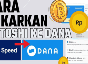 8 Cara Tukarkan Satoshi Bitcoin Ke Saldo Dana, Terbukti Cair!