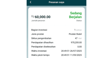 Finance Wise Sudah SCAM, Stop Deposit fwisefx.com Tidak Bisa Diakses
