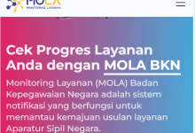 7 Cara Memperbaiki Berkas TMS/BTS Pengajuan NIP PPPK Paruh Waktu 2025
