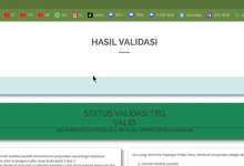 10 Penyebab Info GTK Tahap 2 Belum Valid Setelah Validasi