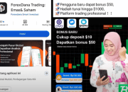 Review Jujur Aplikasi ForexDana Apk Trading Terbaru Apakah Aman?