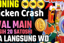 6 Cara Ampuh Kloning Chicken Crash Bitcoin, Teknik Nuyul Terbaru!