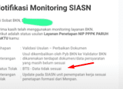 4 Cara Mengatasi Status BTS Pada Usulan NIP PPPK Paruh Waktu 2025