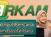 6 Cara Input Rencana eRKAM BOS Triwulan 3 dan 4 & Syarat Pencairan