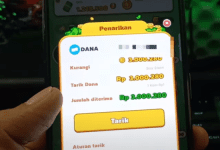 Bongkar! 7 Cara Mendapatkan 3 Juta Koin Dari Fruit Boom Apakah Terbukti? Cek Disini