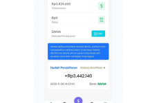 Review Penarikan Rp3,3 Juta di RichTide, Apakah Cair ke DANA?