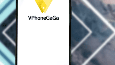 Cara Menggunakan Vphonegaga untuk Roblox Terupdate, Aman!