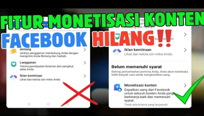 4 Cara Mengatasi Fitur Monetisasi Konten Hilang di Facebook Pro