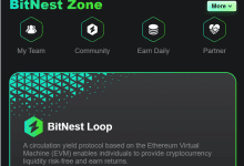 Aplikasi Bitnest Investasi Crypto Apakah Terbukti Membayar atau Penipuan?