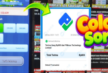 Color Sort APK Penghasil Uang Terbukti Membayar? Review Penarikan!