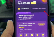 1000 Koin di Melolo Berapa Rupiah? Konversi dan Cara Mendapatkan Banyak Koin