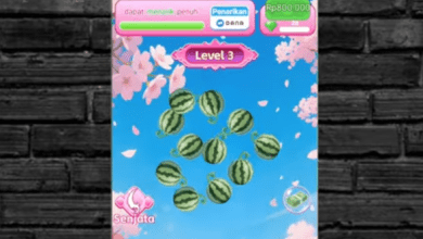 Lucky Fruit Sniper Apakah Terbukti Membayar? Review Jujur Penarikan Saldo