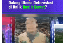 PT Toba Pulp Lestari Punya Siapa dan Bergerak di Bidang Apa? Viral Usai Diduga Sebabkan Banjir di Sumatera