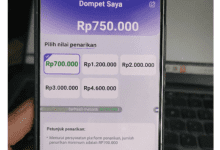 5 Cara Mencapai Level 30 di Free Drama Agar Bisa Tarik Saldo Rp700 Ribu