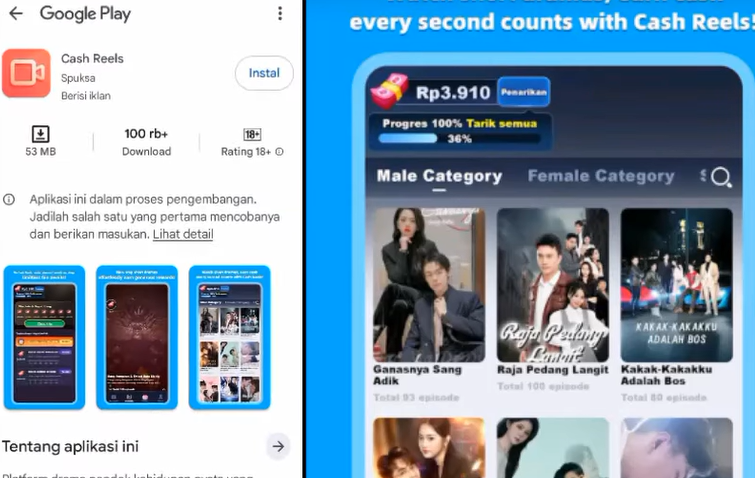 Cash Reels Apakah Terbukti Membayar atau Penipuan? Review Penarikan Uang Terbaru