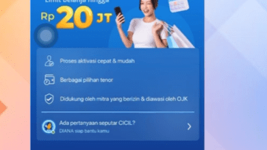 Cara Mengatasi Dana Cicil Tidak Muncul di Aplikasi DANA Terbaru 2026!