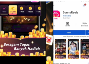Sunny Reels Apakah Terbukti Membayar? Review Jujur Pengalaman Pengguna!