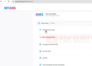 Cara Mengisi DMS My ASN Bagi PPPK Tahun 2026 Agar Skor Lengkap, Ini File yang Wajib Diunggah